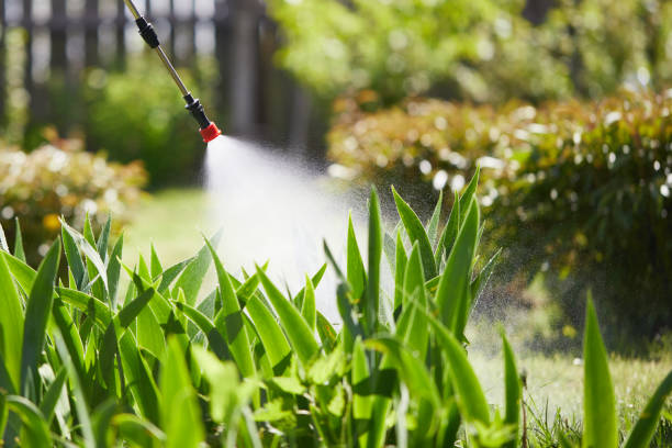 Tamper-Resistant Bait Stations for Rodents in Mattituck