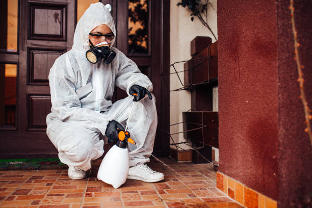 Attic and Crawl Space Rodent Treatment in Mattituck